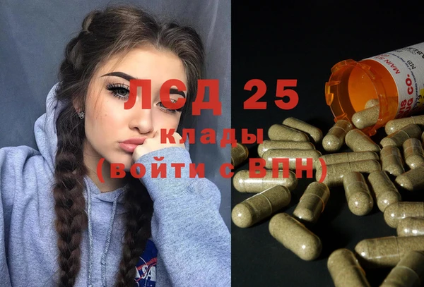 гашик Струнино