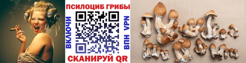 Галлюциногенные грибы Psilocybine cubensis  Семёнов 